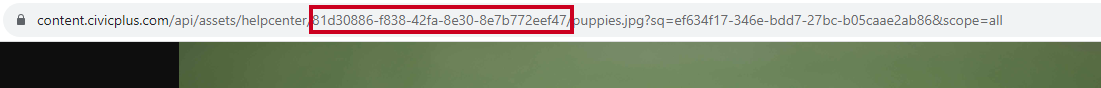 GUID number in URL.