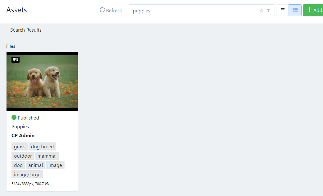 search results.