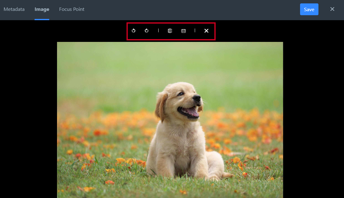 Image editing toolbar.