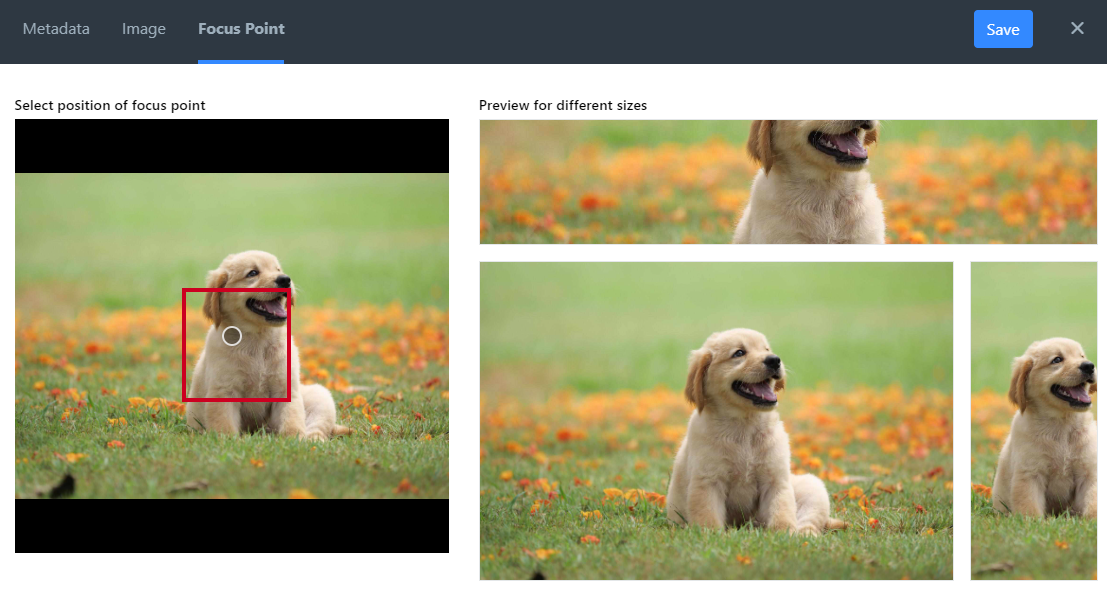 Select focus point on image.