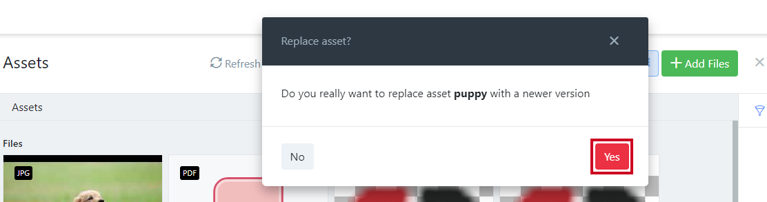 Replace asset confirmation.