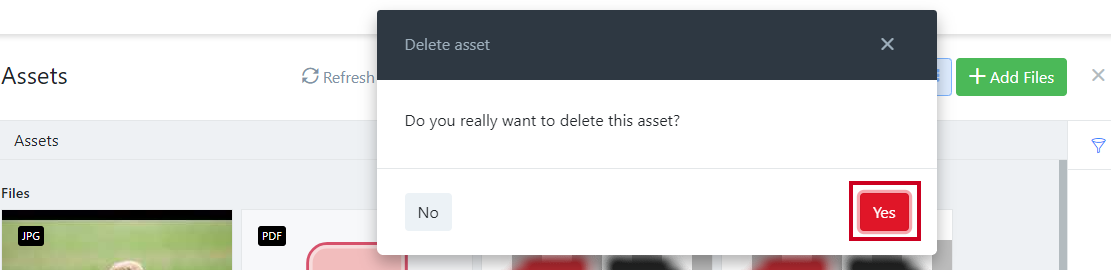 Confirm delete asset.