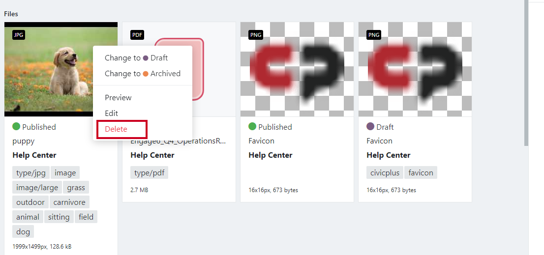 delete asset.