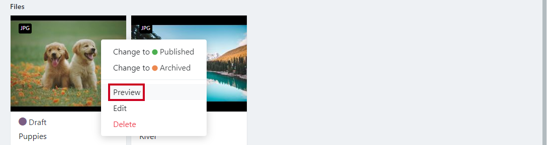 Preview option.